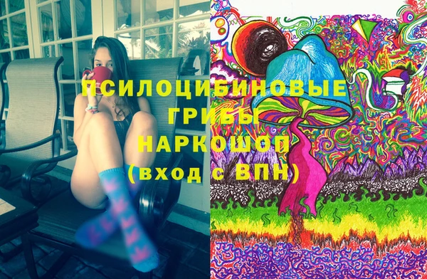 бошки Алексеевка