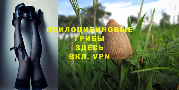 бошки Алексеевка