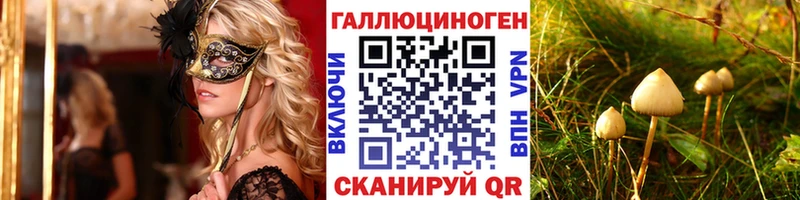 Галлюциногенные грибы мицелий Апатиты