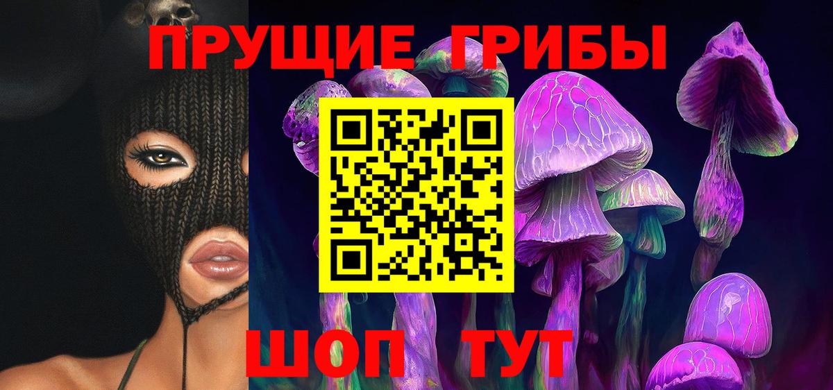 купить наркотики сайты  Псилоцибиновые грибы прущие грибы  Вход с VPN  Апатиты 